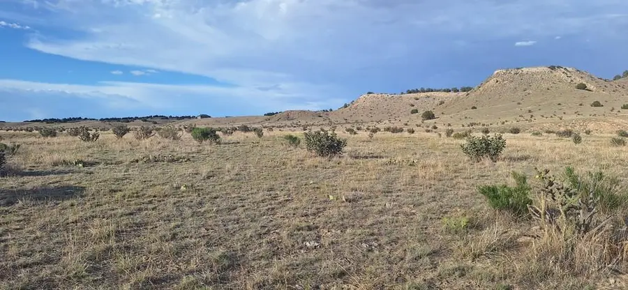 TBD (Lot 29) Deer Trail Ct., Pueblo, CO 81004 - #3