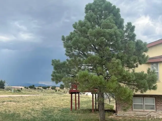 1195 W Meadowmoor Dr, Pueblo West, CO 81007 - #3