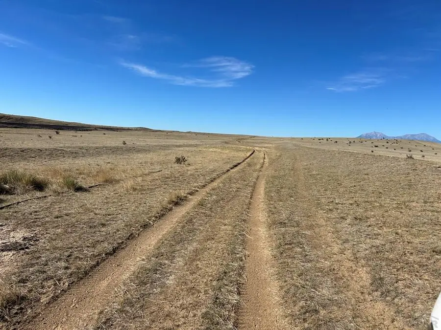 Lot 265 Colorado Land And Livestock, Walsenburg, CO 81089 - #3