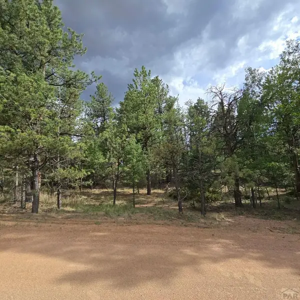 182 Wasatch Ln, Florissant, CO 80816