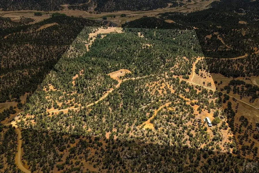 24900 County Rd 30.1, Boncarbo, CO 81024 - #3