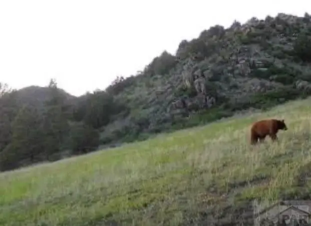 Lot 52 Tamarac Rd, Silver Cliff, CO 81252 - #3