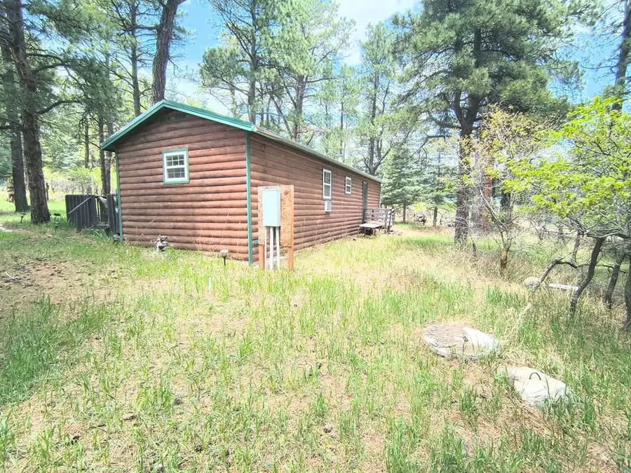 10594 Charles Lane, Rye, CO 81069 - #3
