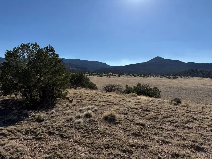 26 Turkey Creek Ranches, Gardner, CO 81040 - #3