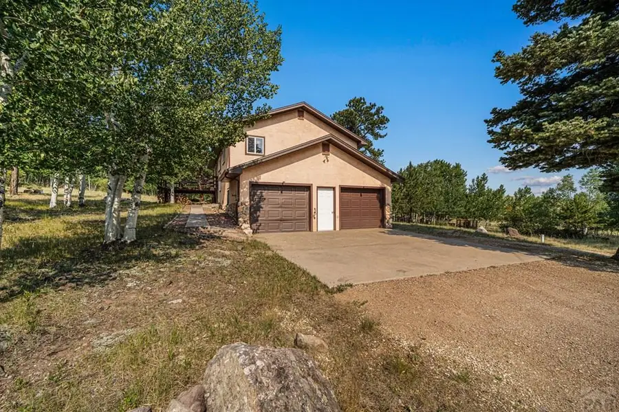 206 Little Horn Dr, Westcliffe, CO 81252 - #2
