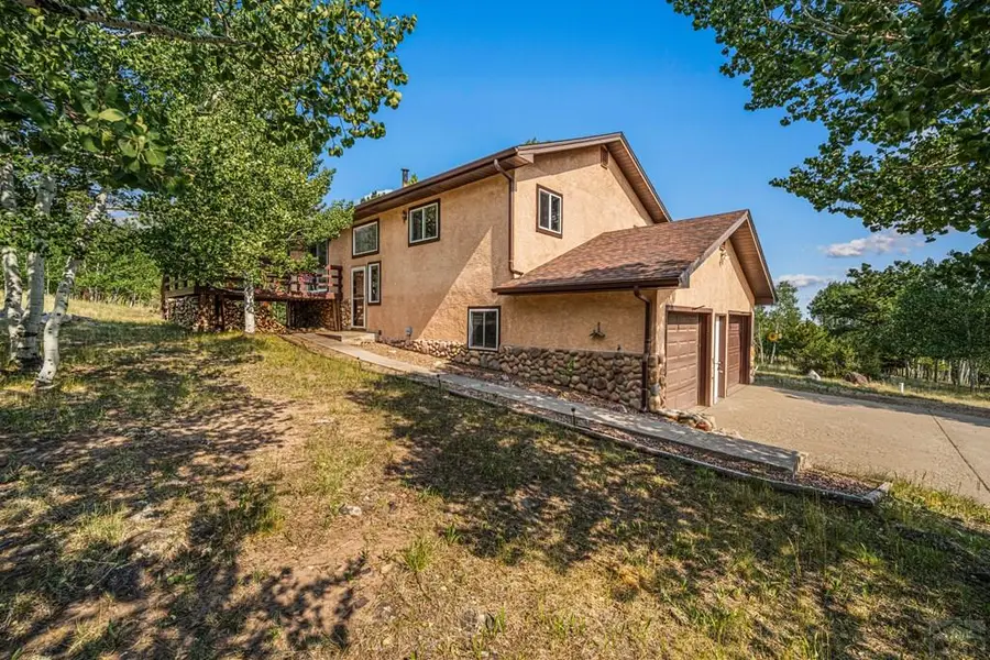 206 Little Horn Dr, Westcliffe, CO 81252 - #3