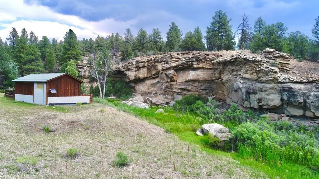 14102 County Rd 41.7, Weston, CO 81091 - #1