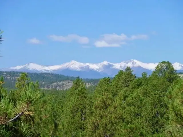 14102 County Rd 41.7, Weston, CO 81091 - #3
