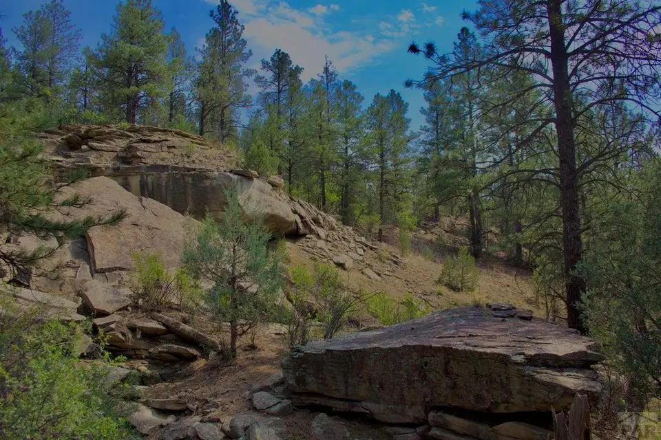 TBD Pine Lane, Weston, CO 81091 - #1