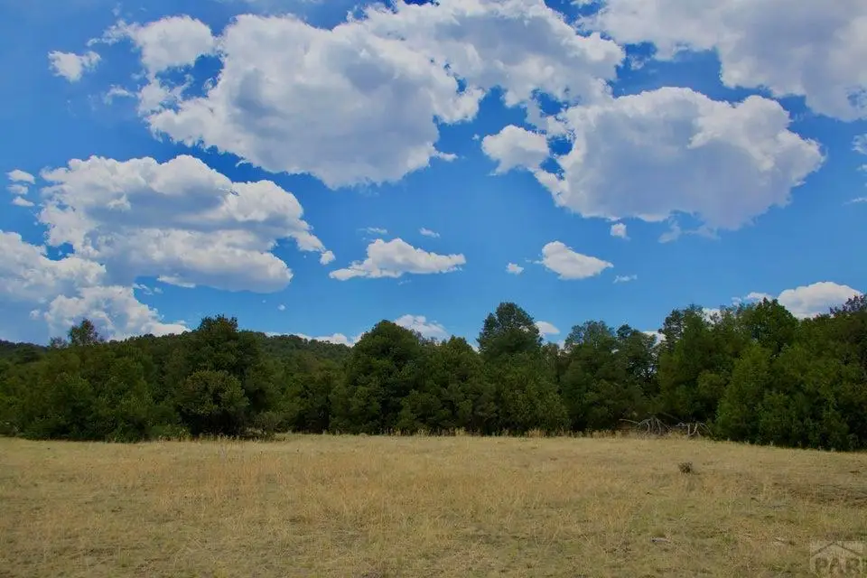 TBD La Veta Pines Ranches, La Veta, CO 81055 - #1