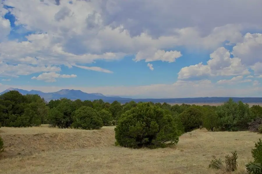 TBD La Veta Pines Ranches, La Veta, CO 81055 - #3