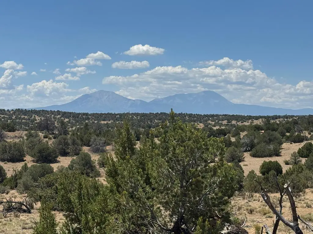 LOT F Twin Lakes Ranches, Walsenburg, CO 81089 - #1