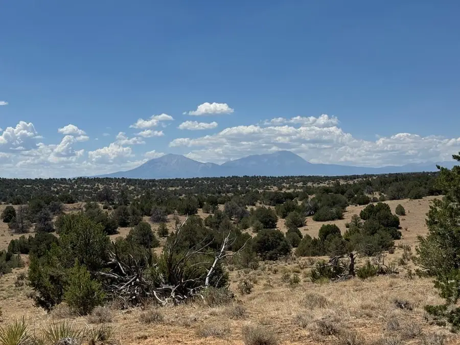 LOT F Twin Lakes Ranches, Walsenburg, CO 81089 - #2
