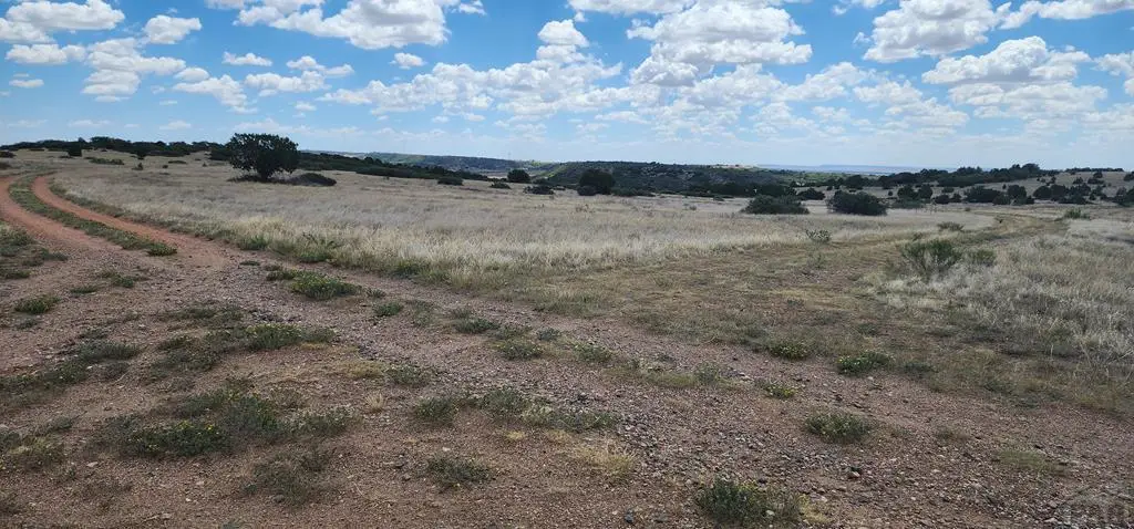 TBD Patsy Cir, Colorado City, CO 81019 - #1