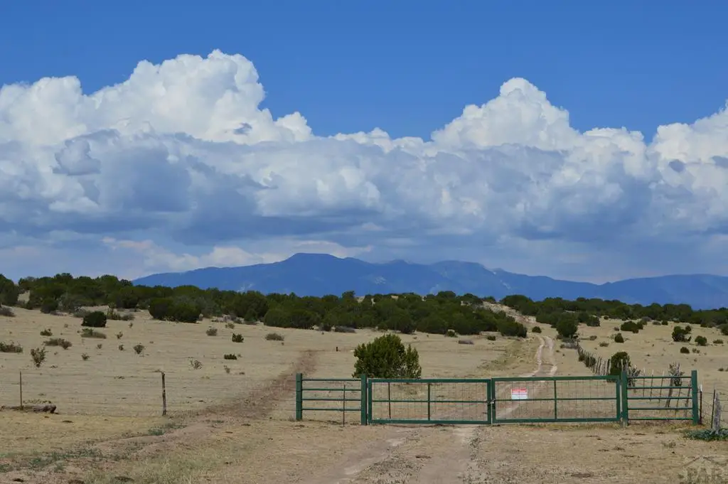 TBD Claymine Rd, Rye, CO 81069 - #1