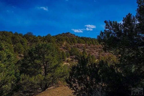 120 Acres No Site Address, Weston, CO 81091