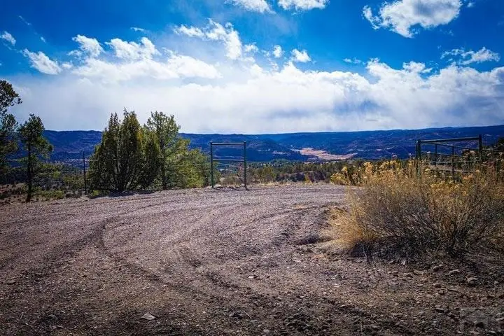 120 Acres No Site Address, Weston, CO 81091 - #3