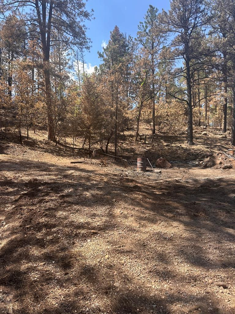 9087 S Pine Dr, Beulah, CO 81023 - #1