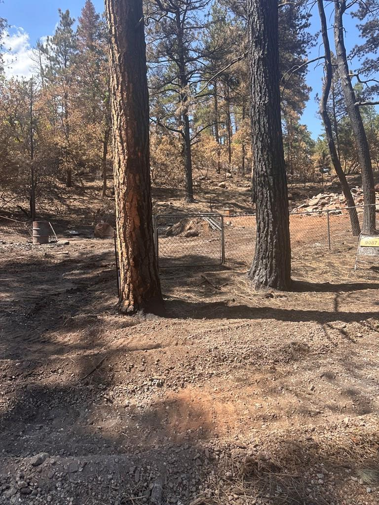 9087 S Pine Dr, Beulah, CO 81023 - #3