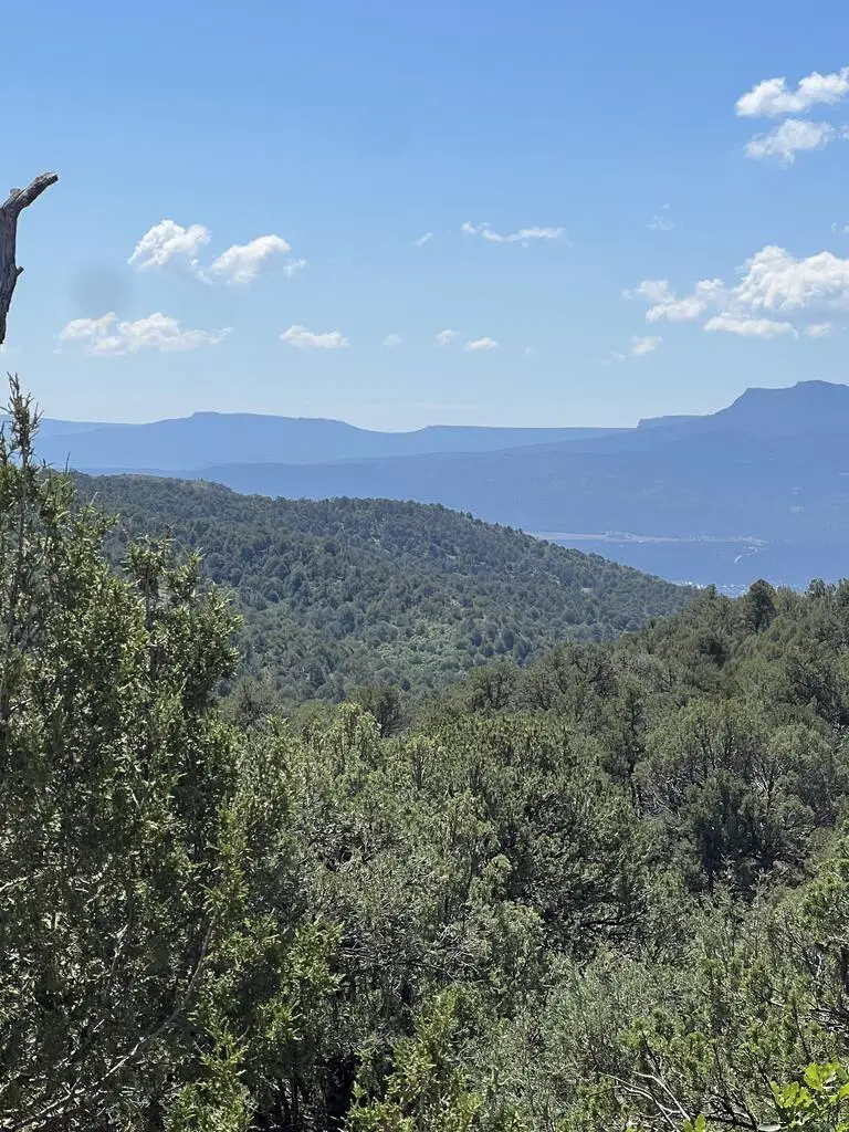 Lot 4 Peacock Rd, Trinidad, CO 81082 - #1