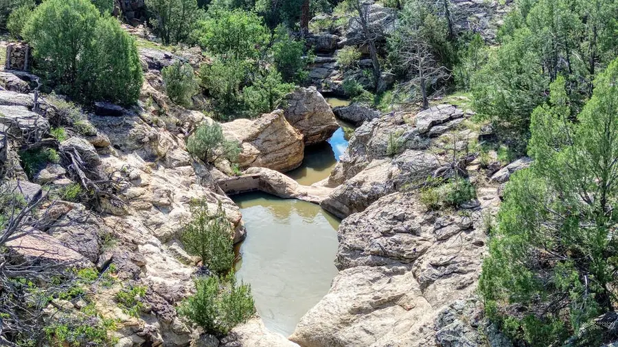 94201 County Rd 44, Kim, CO 81049 - #3