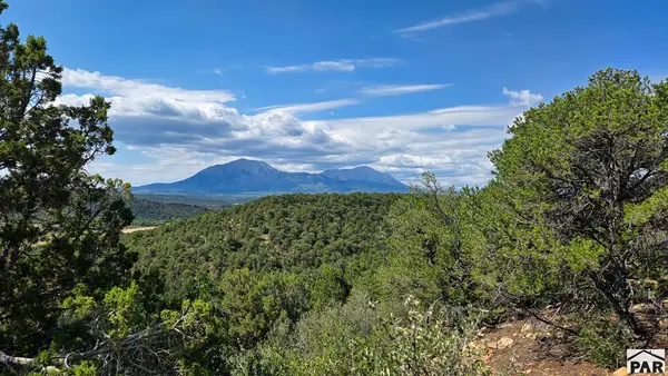 7 La Veta Pines Ranches, Walsenburg, CO 81089