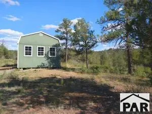 13115 W Silver Spruce Cir, Weston, CO 81091
