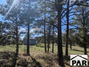 13115 W Silver Spruce Cir, Weston, CO 81091 - #2