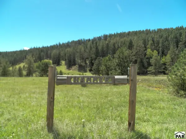 12172 Co Rd 42, Weston, CO 81091