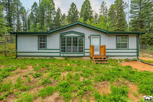 22 Silver Trail, Florissant, CO 80816