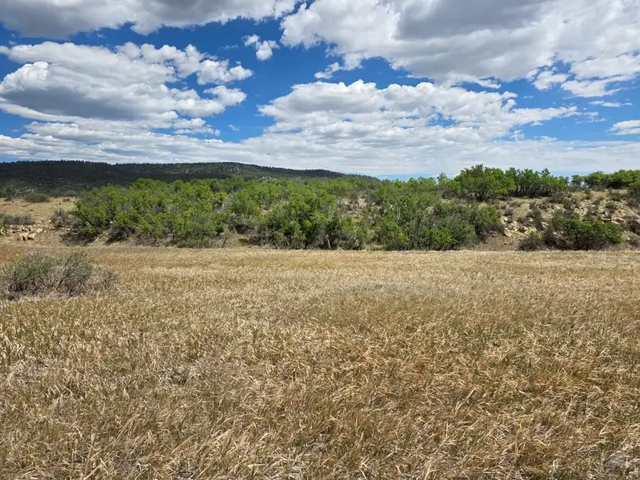 Lot 234 Antoinette Lane, Colorado City, CO 81019 - #3