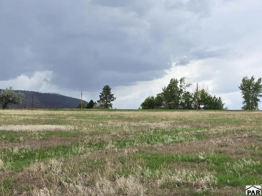 Lot 372 Estes Dr, Colorado City, CO 81019 - #3