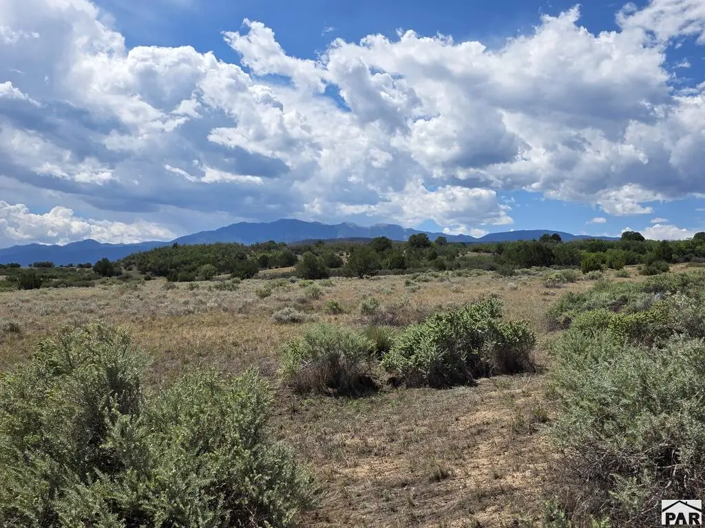 Lot 154 Tarryall Ave, Colorado City, CO 81019 - #1
