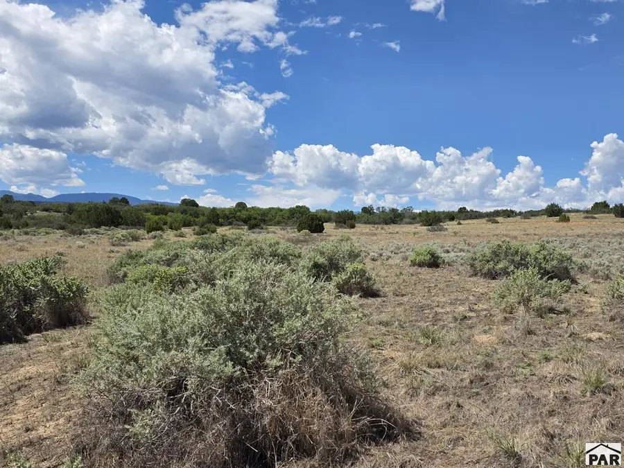Lot 1189 Sandy Creek Dr, Colorado City, CO 81019 - #2