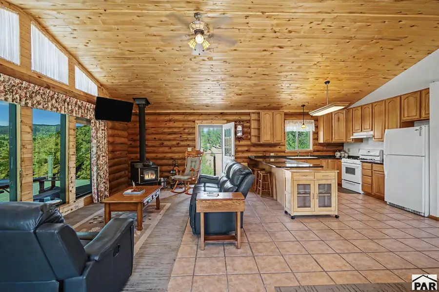 1261 Schierl Rd, Fort Garland, CO 81133 - #3