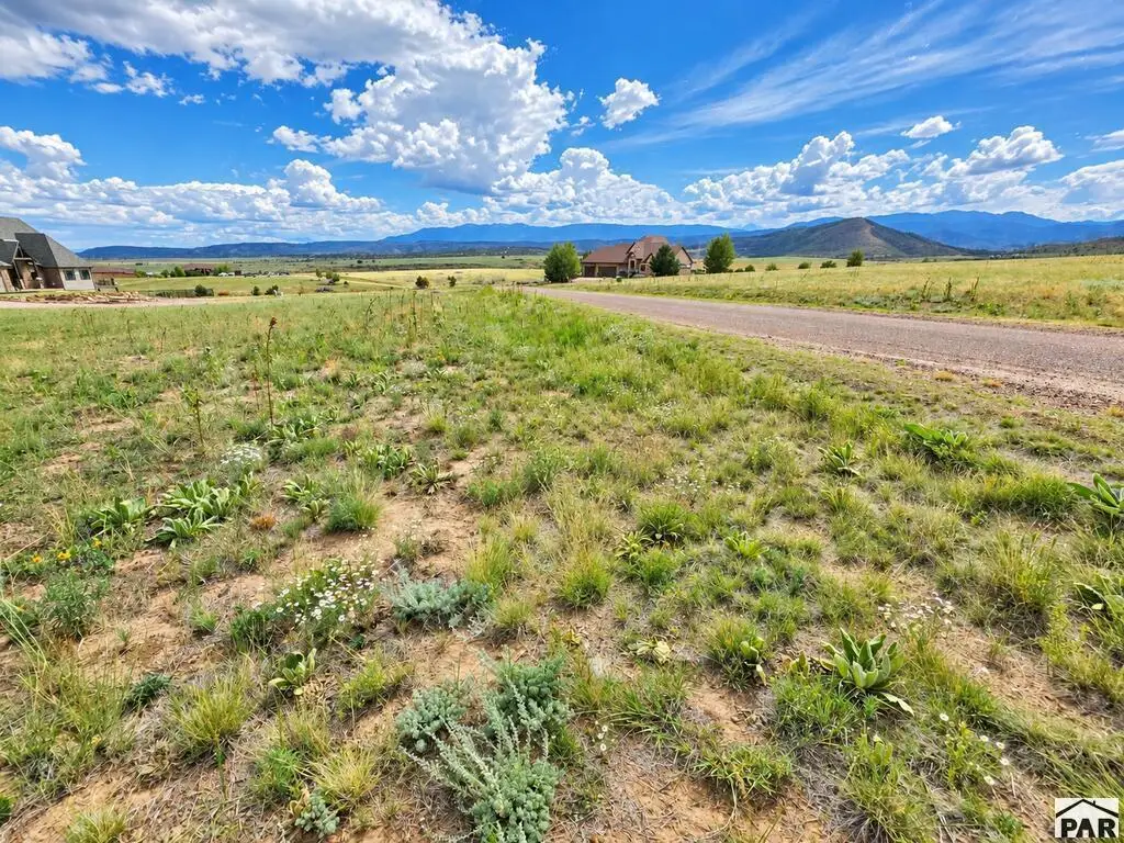 Lot 16 Good Pasture Rd, Beulah, CO 81023 - #1