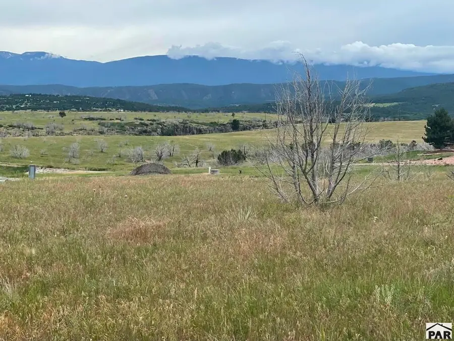 Lot 16 Good Pasture Rd, Beulah, CO 81023 - #2