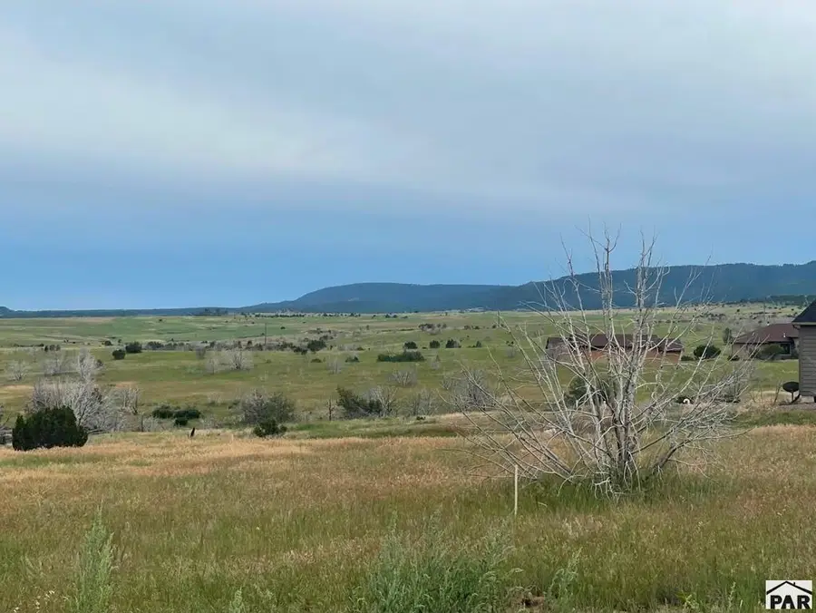 Lot 16 Good Pasture Rd, Beulah, CO 81023 - #3