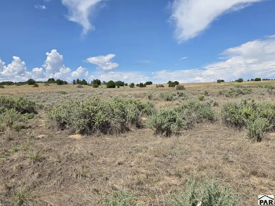 TBD Tarryall Ave, Colorado City, CO 81019 - #3