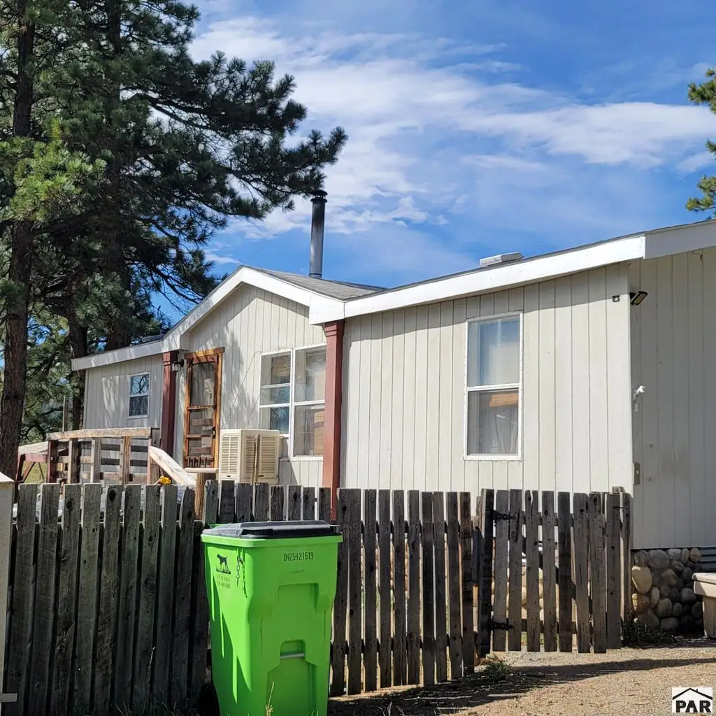 8152 Pine Dr, Rye, CO 81069 - #1