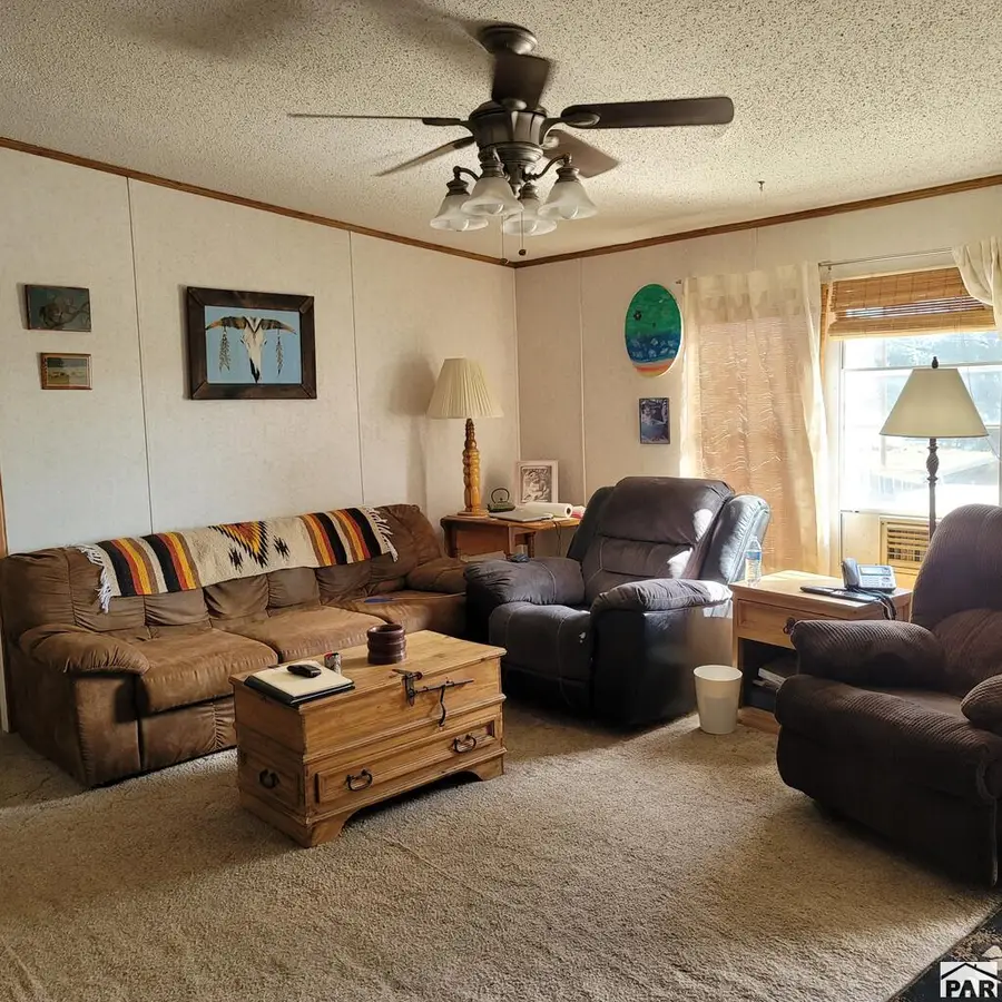 8152 Pine Dr, Rye, CO 81069 - #2