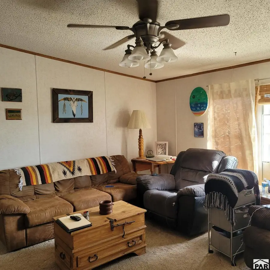 8152 Pine Dr, Rye, CO 81069 - #3
