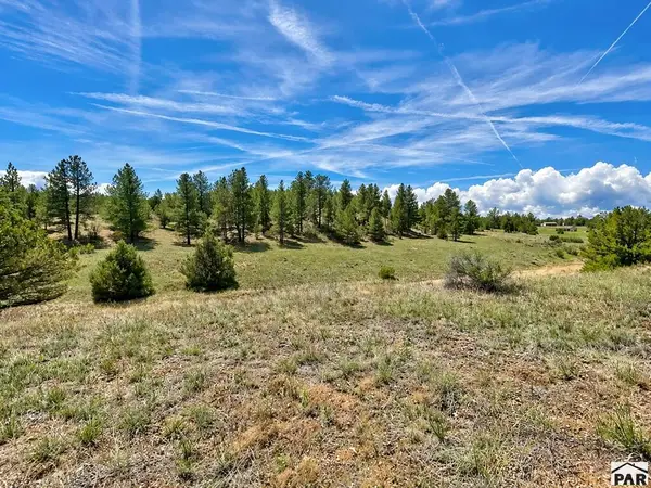 103 Cheyenne Ct, Cotopaxi, CO 81223