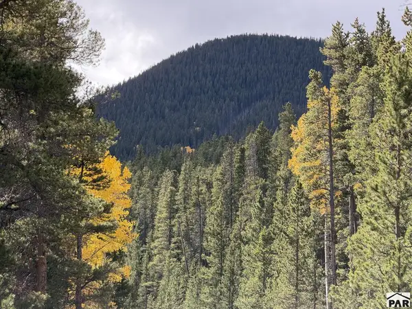 3417 No Site Address, Fort Garland, CO 81133