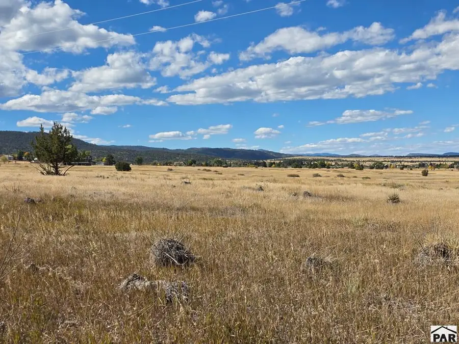 Lot 265 Beckwith Dr, Colorado City, CO 81019 - #2
