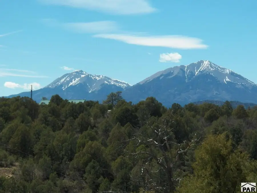 24556 Parsil Canyon Rd, Aguilar, CO 81020 - #2