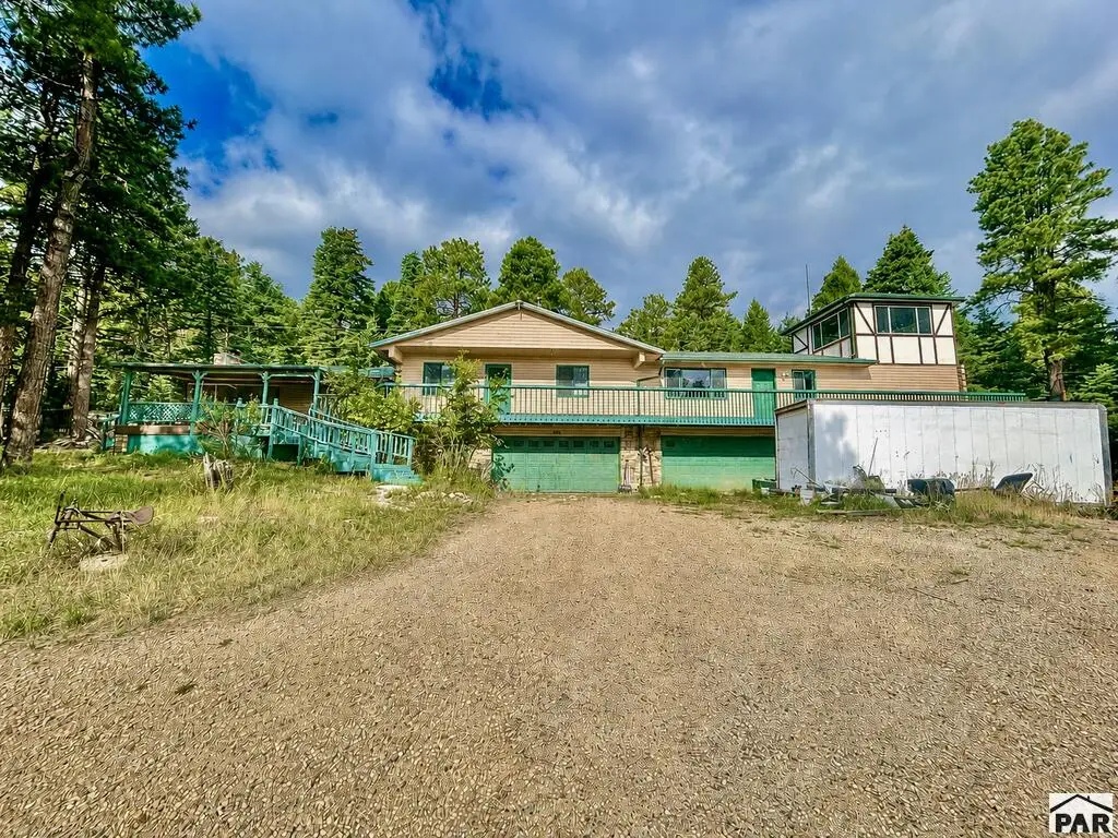 10631 Paul Lane, Rye, CO 81069 - #1