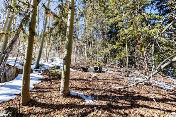 944 Roberts Road, Alma, CO 80420