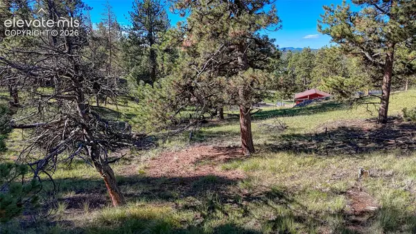 65 Utah Way, Florissant, CO 80816