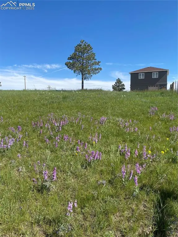 13435 Hodgen Road, Elbert, CO 80106 - Image #1